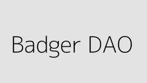 Badger DAO Ne Kadar? Badger DAO kaç dolar? Badger DAO Yorum