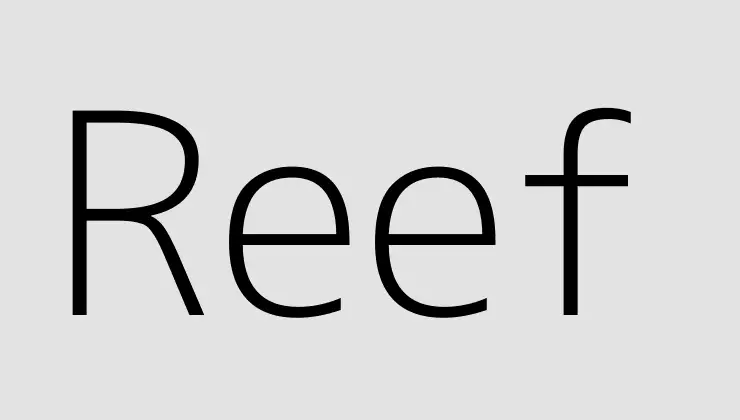 Reef Ne Kadar? Reef kaç dolar? Reef Yorum