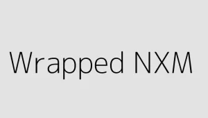 Wrapped NXM Ne Kadar? Wrapped NXM kaç dolar? Wrapped NXM Yorum